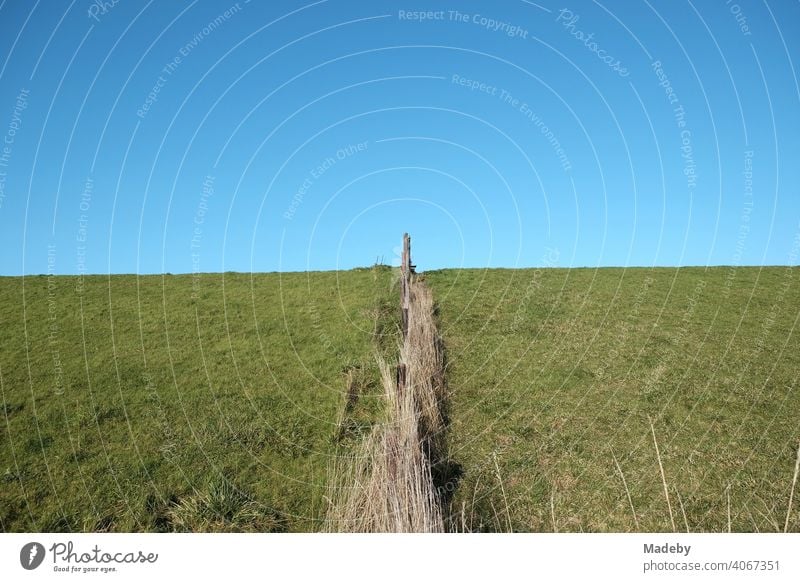 Weidezaun auf grünem Gras der Schafweide vor blauem Himmel bei Sonnenschein in Bensersiel bei Esens an der Küste der Nordsee in Ostfriesland in Niedersachsen