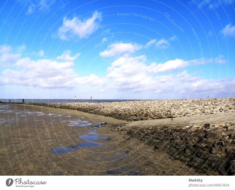 Das Watt bei Ebbe an der Hafenmole in Bensersiel im Herbst an der Küste der Nordsee bei Esens in Ostfriesland in Niedersachsen Besensersiel Nordseeküste Meer