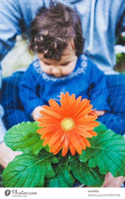 Kleines Baby, das zum ersten Mal eine riesige Blume entdeckt entdecken Frühling Fröhlichkeit Familie Familienzeit Papa Vater Mädchen Kind Kleinkind 9 Monat