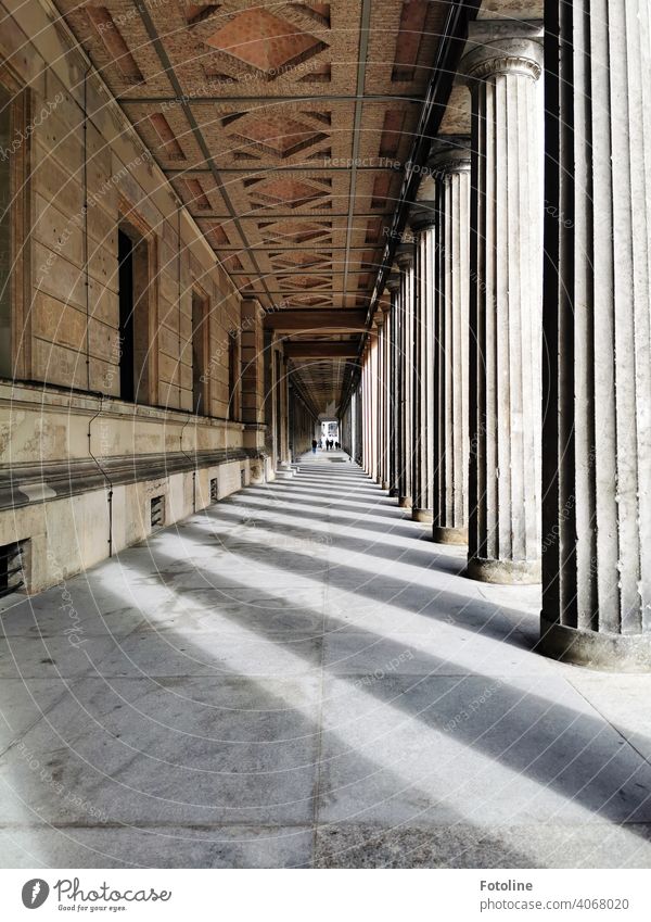 Rötliche Außenfassade des Neuen Museums in Richtung Bodestr. in Licht und Schatten Architektur Haus Gebäude Bauwerk Außenaufnahme Farbfoto Tag Stadt