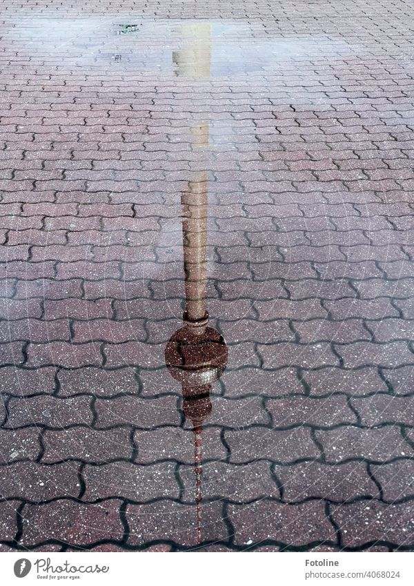 Berlins Pfützen I - Fernsehturm Wasser Reflexion & Spiegelung nass Außenaufnahme Menschenleer Farbfoto Straße Wetter schlechtes Wetter Regen Tag Verkehrswege