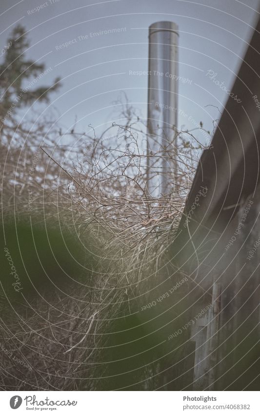 Rückseite eines alten zugewucherten Schuppens Gartenhaus Menschenleer Außenaufnahme Farbfoto Natur Tag Pflanze grün Hütte Schrebergarten Umwelt