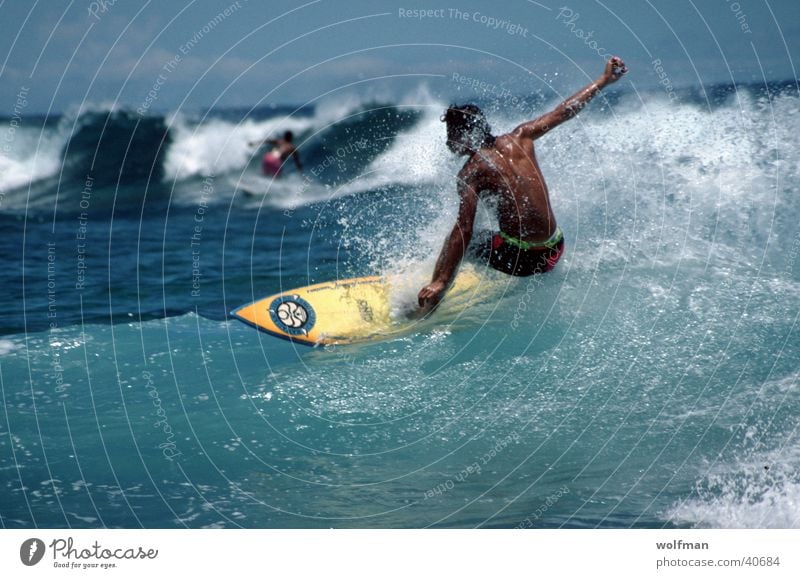 Wellenreiter Surfen Hawaii Meer Aktion Waikiki Extremsport Wasser Bewegung wolfman wk@weshotu.com