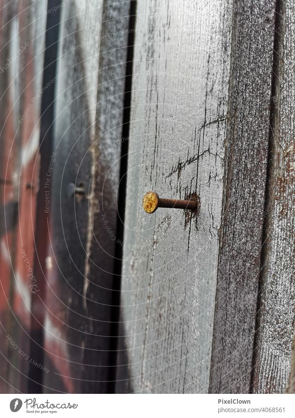 Ein Nagel in der Holzwand Handwerk Metall Farbfoto Nahaufnahme Rost Holzbrett Textfreiraum unten Najaufnahme