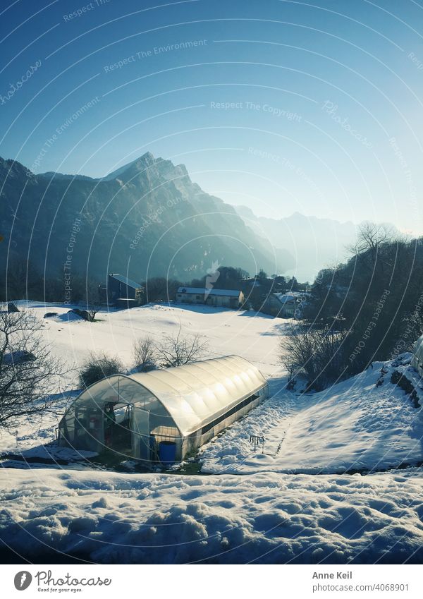 Morgendlicher Start zur Arbeit, mit Blick auf Schweizer Berge, im winterlichen Frühling. Schnee Sonnenlicht Morgendämmerung Morgennebel Alpen Walensee Himmel