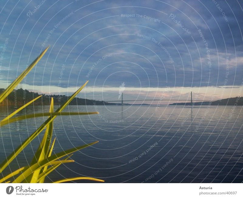 Narrows Bridge Amerika Meer Wolken Gras lang Säule Erholung Seattle Himmel Wellen tief USA Washington DC Wasser brige Brücke Übergang ruhig friedlich tacoma sky