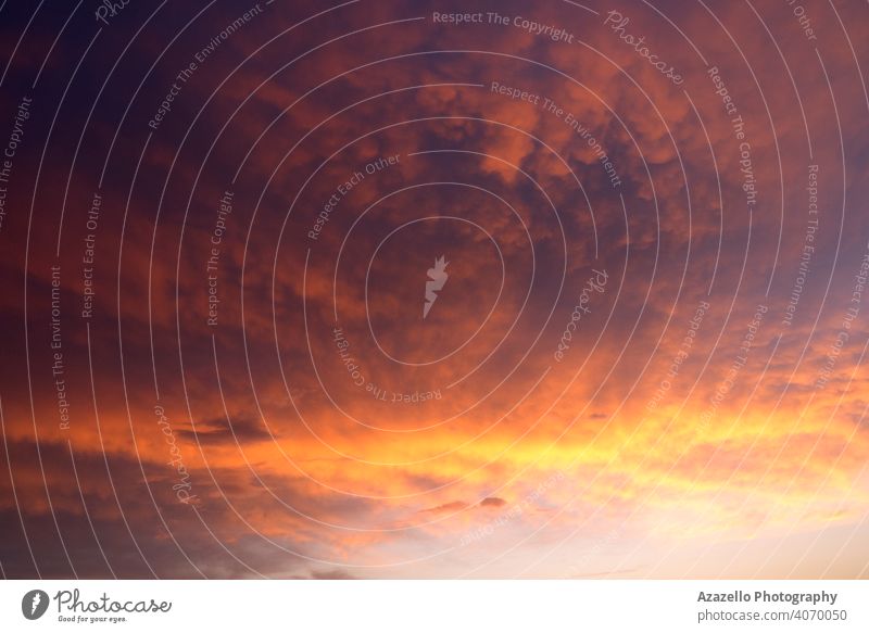 Schöner Abendhimmel in leuchtenden Gold-, Orange- und Violetttönen Hintergrund schön Blut-Sonnenuntergang blau hell Cloud Farbe farbenfroh cool Morgendämmerung