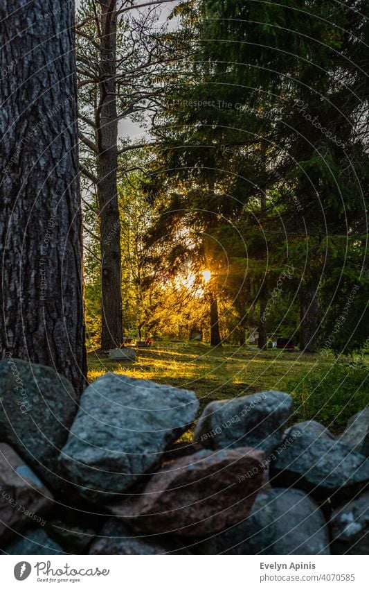 Vertikales Foto von Sonnenuntergang in europäischen Landschaft Friedhof mit Felsen Zaun und Kiefern umgeben Stein Steinzaun Europa fallen Hof kärdla hiiumaa