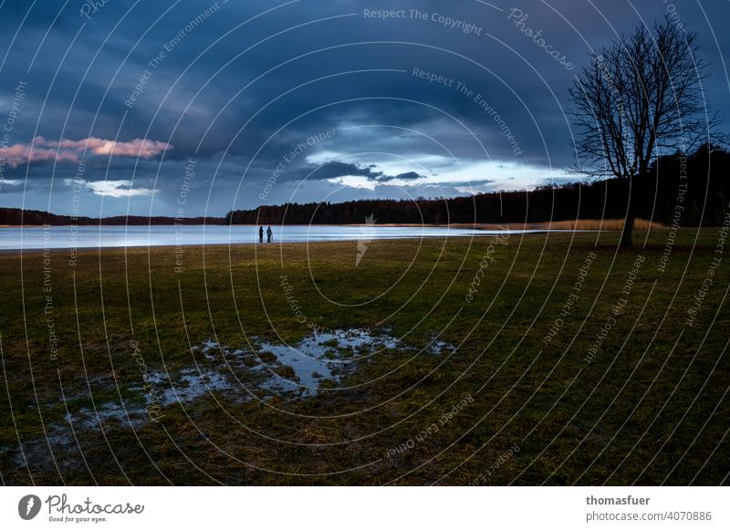 Vorfrühlingsabend in Brandenburg, am See, mit Pfütze und bedrohlichem Himmel Frühling Spiegelung Paar Menschen Gewitter Reflexion & Spiegelung Wasser