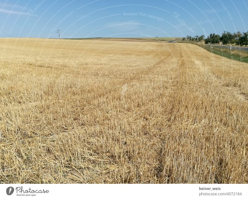 Leeres Kornfeld im Sommer nach der Ernte Hitze Straßenrand land Landwirtschaft Hitzesommer Dürre trocken Staub Wassermangel kein Regen austrocknen Natur öde