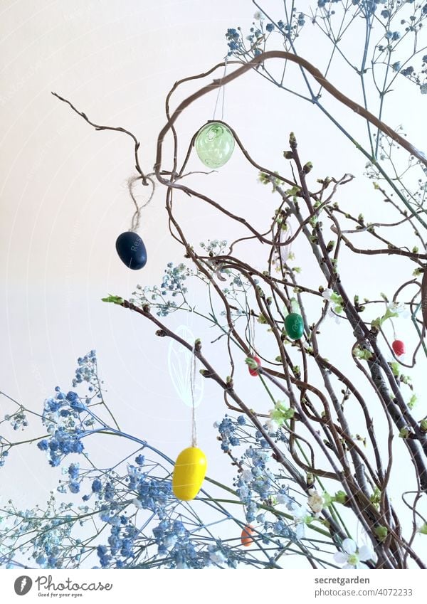 Kirschblütenzweige mit blauem Schleicherkraut und dezenter Osterdekoration Wand weiss Ostern Osterstrauch osterschmuck Osterei Farbfoto Zweige u. Äste