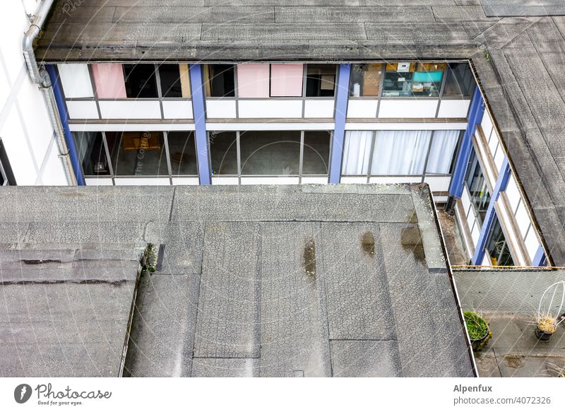 Büro des Winkeladvokaten Hinterhof hinterhofidyll Haus Fenster Stadt Wand Außenaufnahme Fassade Mauer Altbau Häusliches Leben innenhof Wohnhaus Mehrfamilienhaus