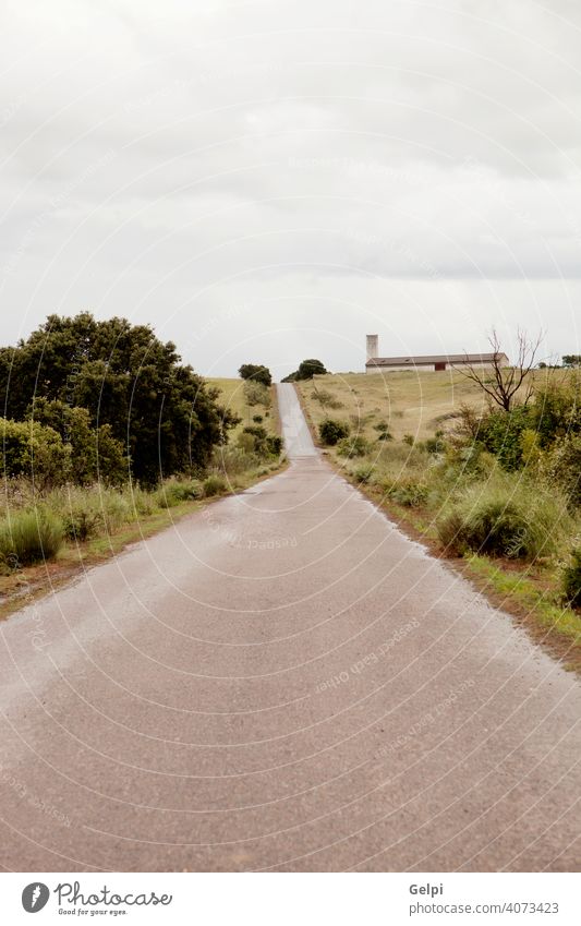 Schmale gepflasterte Straße auf dem Land mit einem wolkenverhangenen Himmel ländlich Weg Landschaft Sommer Natur Feld grün Gras Tag im Freien Kies Wiese leer