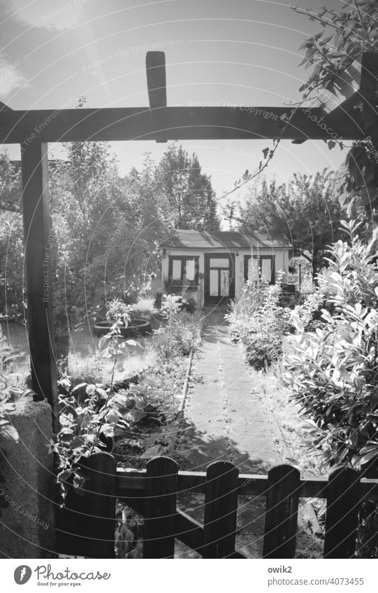 Frühling Sträucher Blume Sommer Garten Hütte Tür alt Eingang Eingangstür einfach Reinheit bescheiden sparsam Idylle Detailaufnahme Schwarzweißfoto Menschenleer