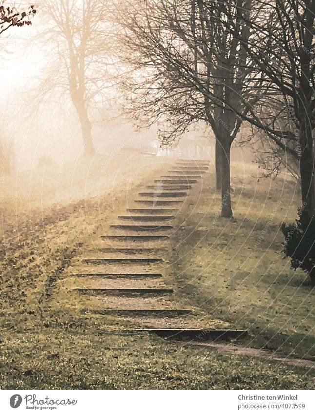 Morgenstimmung mit diffusem Sonnenlicht ... Ein befestigter Gehweg führt zwischen den Bäumen entlang auf einen Hügel nebelig Herbststimmung Weg Ausflug Natur