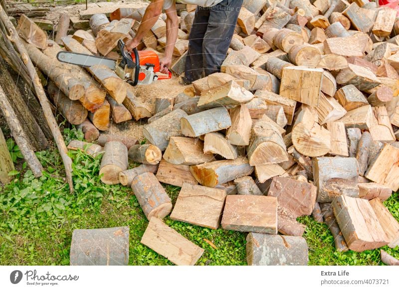 Holzfäller schneidet Brennholz auf dem Hof mit Kettensäge Klinge anketten hacken geschnitten Staubwischen Motor Feller zwängen Gras Boden Haufen Hewer Job