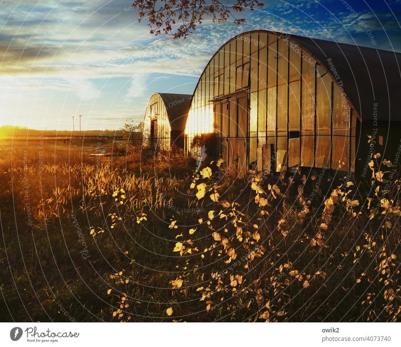 Abend am Hangar Halle Lager Blech Lagerhalle Architektur Bauwerk Menschenleer Außenaufnahme Farbfoto Metall alt Wolken Gebäude Beton Totale Glas Sträucher