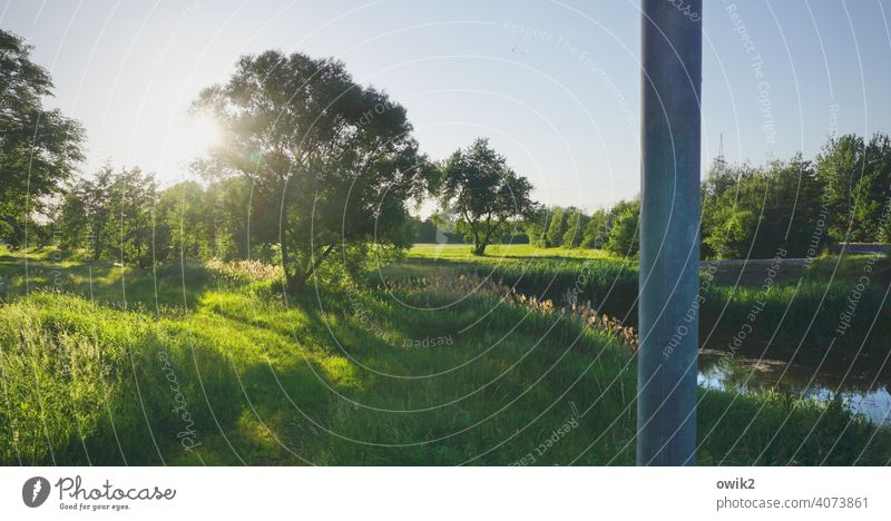 Blaugrüner Kanal Umwelt Natur Landschaft Pflanze Wasser Himmel Horizont Sonne Sommer Schönes Wetter Sträucher Grünpflanze Wiese Wald Erholung hell Zufriedenheit