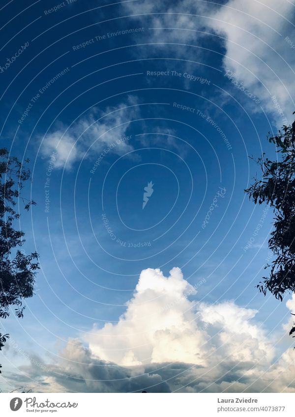 Die Wolke am Himmel Cloud weiße Wolke blauer Himmel Wolken Wolkenformation Wolkenbild Wolkendecke Wolkenfeld Wolkenhimmel Schönes Wetter Morgen Morgenlicht