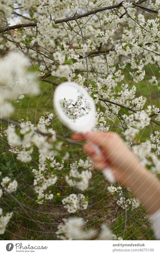 Outdoor-Nahaufnahme von jungen weiblichen Hand hält kleinen Retro-Spiegel in blühenden Garten am Frühlingstag. Model schaut in kleinen Spiegel, posiert auf der Straße, in der Nähe von blühenden Bäumen. Weibliche Mode Konzept