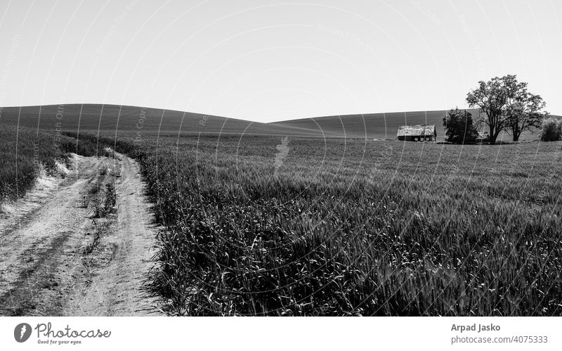 Entlang des Weges unbefestigter Weg Laufwerk Kies Landschaft Palouse Straße Washington Whitman Grafschaft