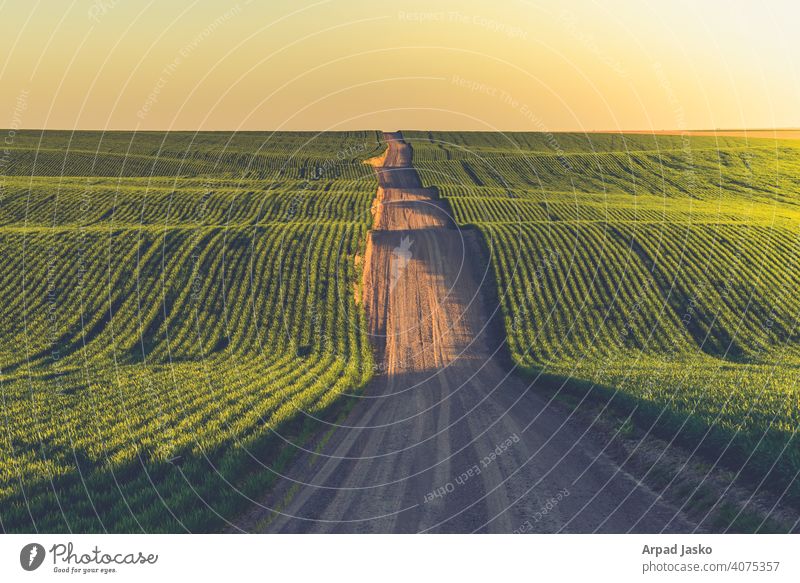 Sonnenuntergang auf dem Kies Adams Grafschaft Land unbefestigter Weg Laufwerk Auf den Schotter treffen Landschaft Straße ländlich Sonnenaufgang Washington