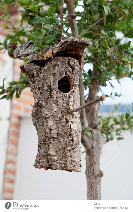 Vogelhaus aus der Rinde eines Baumes gemacht hing heimwärts Nest Natur Holz Haus Ast Kasten Park Futterhäuschen Wald Frühling Golfloch Garten Hintergrund