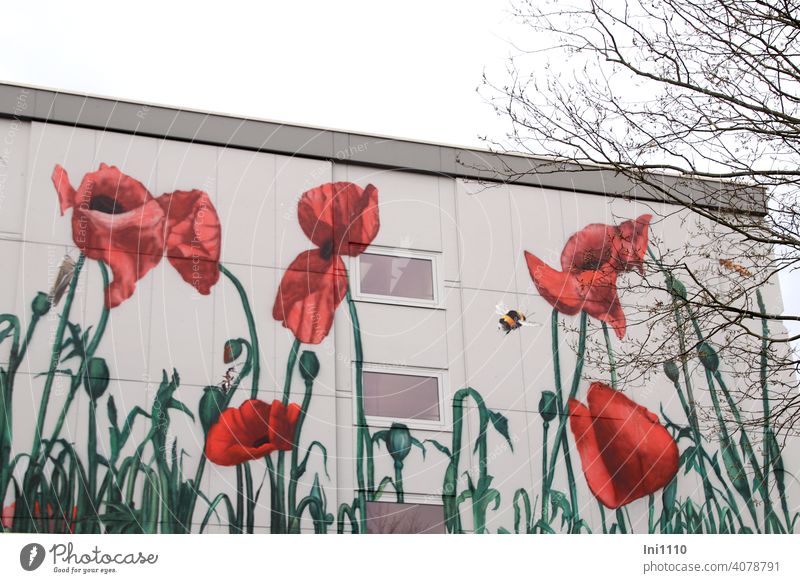 Fassade verschönt mit Blumenmalerei Klatschmohn und einigen Insekten Hauswand großflächig Blumenmotiv Mohnkapseln Malerei Wandmalerei Fassadengestaltung