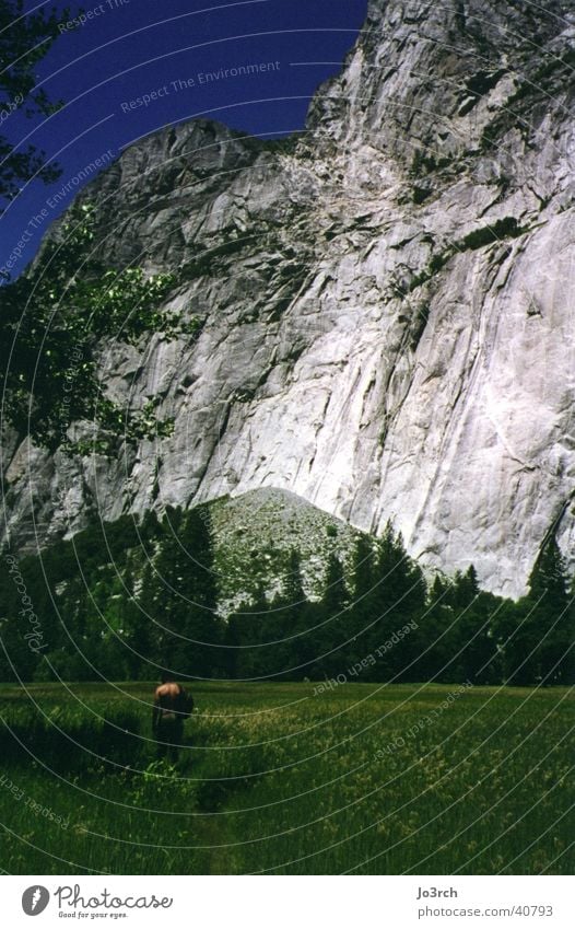 Der Berg Wiese Amerika Ferien & Urlaub & Reisen wandern Berge u. Gebirge Yosemite Park USA