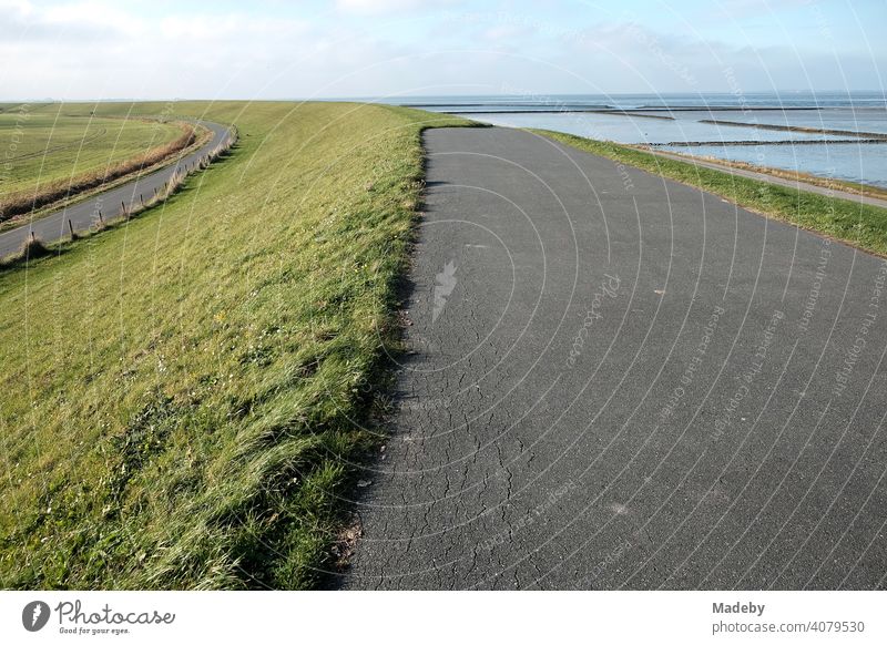 Asphaltierte Wege auf und neben dem grünen Deich im Herbst bei Sonnenschein in Bensersiel bei Esens an der Küste der Nordsee in Ostfriesland in Niedersachsen