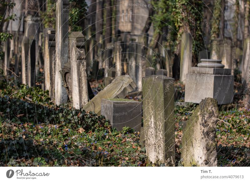 ein alter Jüdischer Friedhof in Berlin Prenzlauer Berg Schönhauser Allee Frühling Außenaufnahme Stadt Hauptstadt Stadtzentrum Altstadt Menschenleer Farbfoto