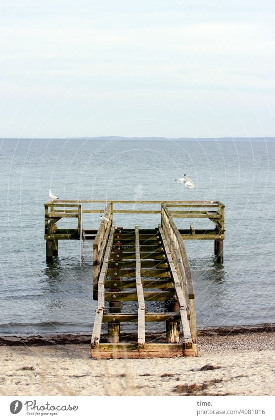 Illusion | heute kein Sitzplatz mit Aussicht. morgen auch nicht. Seebrücke strand wasser ostsee möwe kaputt steg holz bau architektur konstruktion unbegehbar