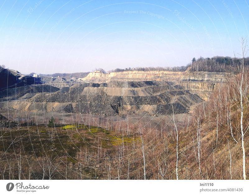 Blick in den Steinbruch neue Pflanzen- und Tierwelt auf den abgetragenen Flächen Gesteinsabbau Straßenbau Sandstein Hartsteinbruch Flöze Wechsellagerung