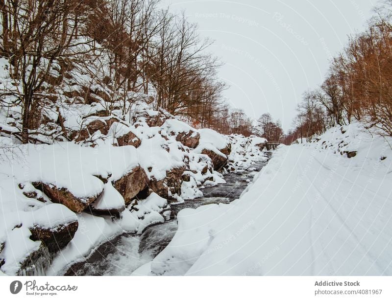 Bach in schönem verschneitem Wald Schnee Frühling kalt Landschaft Natur Bäume Wasser strömen Ansicht Umwelt Winter Saison malerisch Harmonie idyllisch