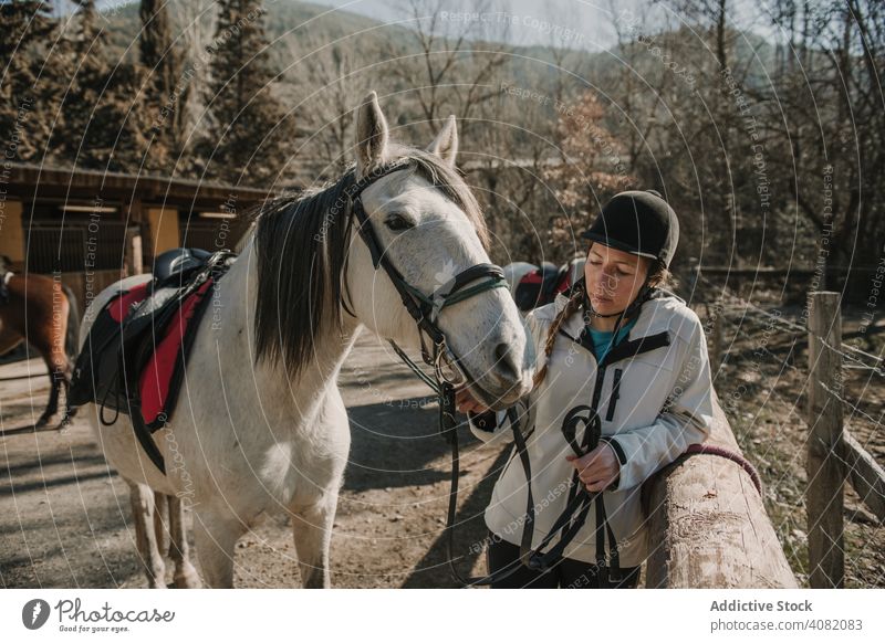 Älterer Mann legt Zaumzeug auf Pferd Frau Ranch Pflege Lektion Pferderücken Reiten Senior Schutzhelm Sicherheit professionell Hobby Gerät Herbst Landschaft