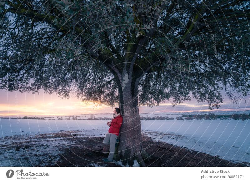 Mann spielt Gitarre unter Baum reisen Spielen Landschaft verschneite Winter Sonnenuntergang Tourismus Freiheit Musik Natur malerisch akustisch Lifestyle