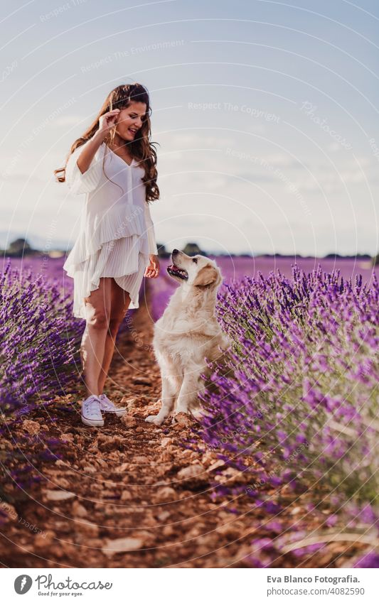 schöne Frau mit ihrem Golden Retriever Hund in Lavendelfeldern bei Sonnenuntergang. Haustiere im Freien und Lifestyle. Wiese Schönheit Freizeit Freiheit Feld