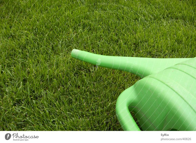 Gartenarbeit Gießkanne Wiese Kannen Rasen