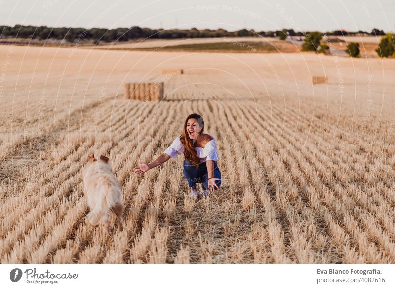 junge schöne Frau, die mit ihrem Golden Retriever Hund auf einem gelben Feld bei Sonnenuntergang spazieren geht. Natur und Lebensstil im Freien. Lustiger Hund läuft zu ihrem Besitzer