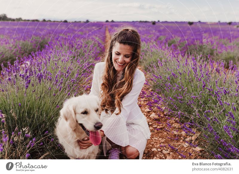 schöne Frau mit ihrem Golden Retriever Hund in Lavendelfeldern bei Sonnenuntergang. Haustiere im Freien und Lifestyle Wiese Schönheit Freizeit Freiheit Feld