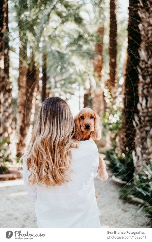 junge Frau und ihr niedlicher Cockerspaniel-Welpe im Freien in einem Park Hund Haustier sonnig Liebe Umarmung Lächeln Rückansicht Kuss züchten Reinrassig schön