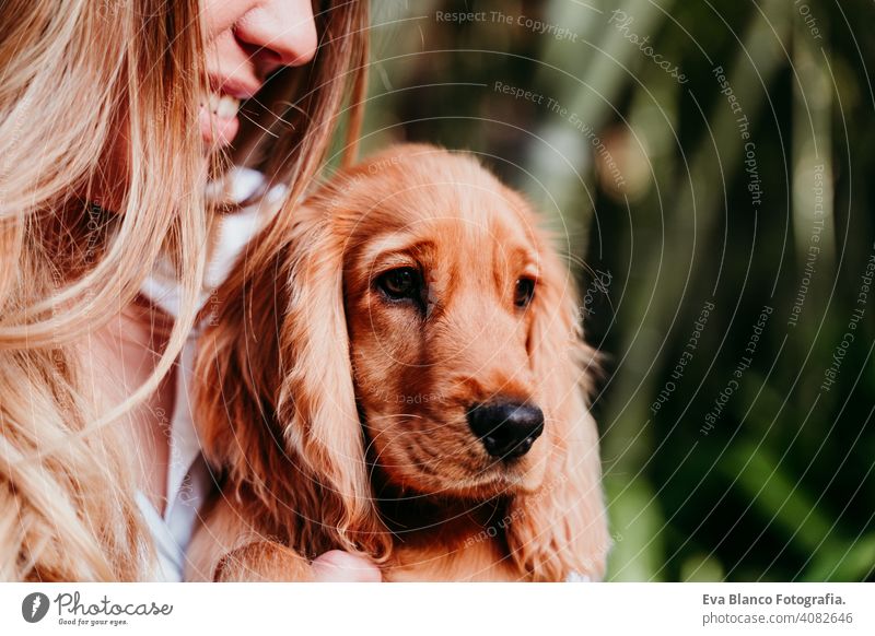 junge Frau und ihr niedlicher Cockerspaniel-Welpe im Freien Hund Haustier Park sonnig Liebe Umarmung Lächeln Rückansicht Kuss züchten Reinrassig schön blond