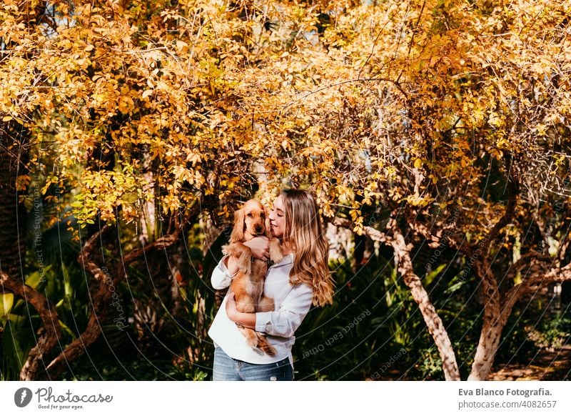 junge Frau und ihr süßer Welpe Cocker Spaniel Hund im Freien in einem Park. Sonniges Wetter, gelbe Blätter Hintergrund Haustier sonnig Liebe Umarmung Lächeln