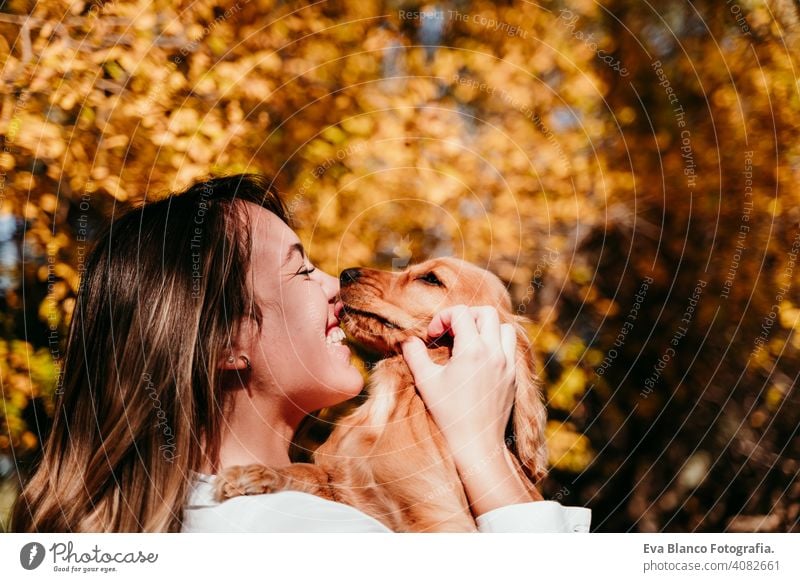 junge Frau und ihre niedlichen Welpen Cocker Spaniel Hund im Freien in einem Park. Sonniges Wetter, gelbe Blätter Hintergrund. Hund küssen Besitzer Haustier