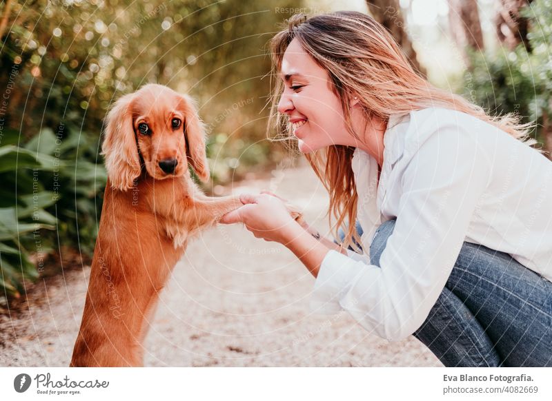 junge Frau und ihr niedlicher Cockerspaniel-Welpe im Freien in einem Park Pfoten high five Hund Haustier sonnig Liebe Umarmung Lächeln Kuss züchten Reinrassig