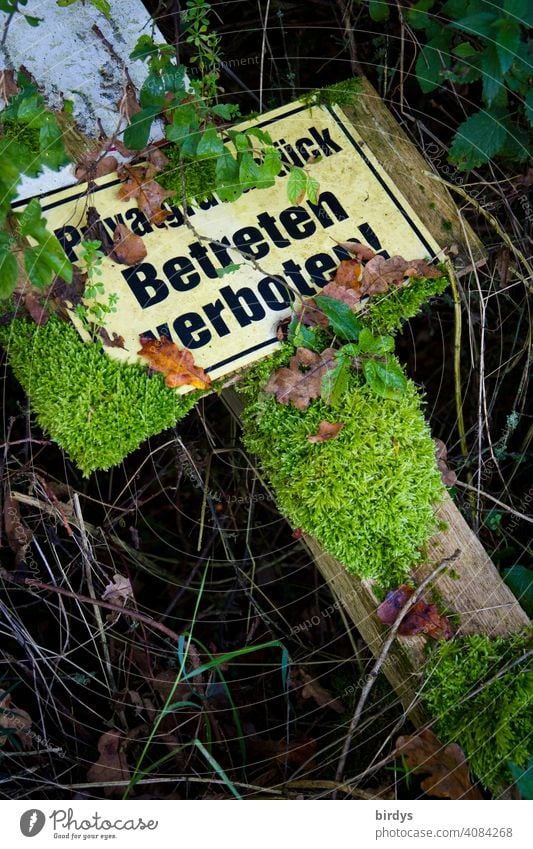 Privatgrundstück, Betreten verboten ! Umgefallenes , mit Moos bewachsenes Schild auf dem Waldboden Betretungsverbot Schilder & Markierungen privatgrundstück