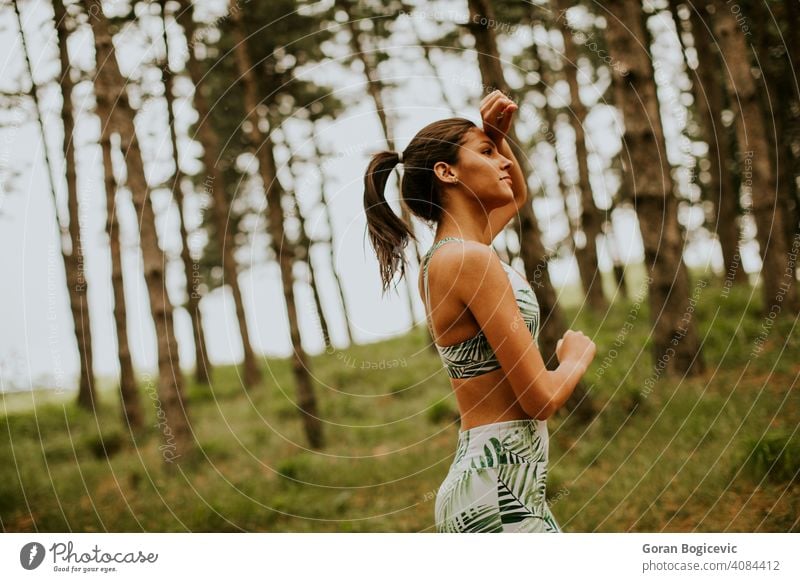 Junge Fitness-Frau läuft auf Waldweg Athlet Park aktiv grün Übung laufen jung im Freien Läufer Joggen Training Jogger passen Baum Lifestyle Sport ländlich