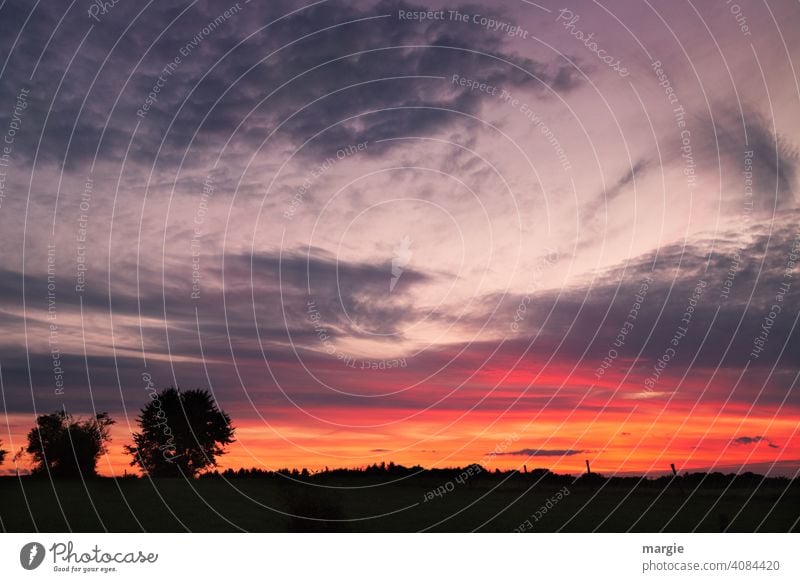 Sonnenuntergang über Felder und Bäume Wolken Baum Himmel dunkel Abend Natur Silhouette Lichterscheinung Kontrast Schatten Freiheit Ferne mehrfarbig Farbfoto