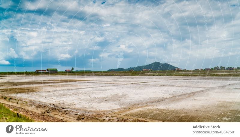 Weitläufige ländliche Felder in tropischer Landschaft Bereiche Kultur Landwirtschaft Natur Asien Kambodscha Ackerbau Schonung Panorama reisen natürlich Himmel