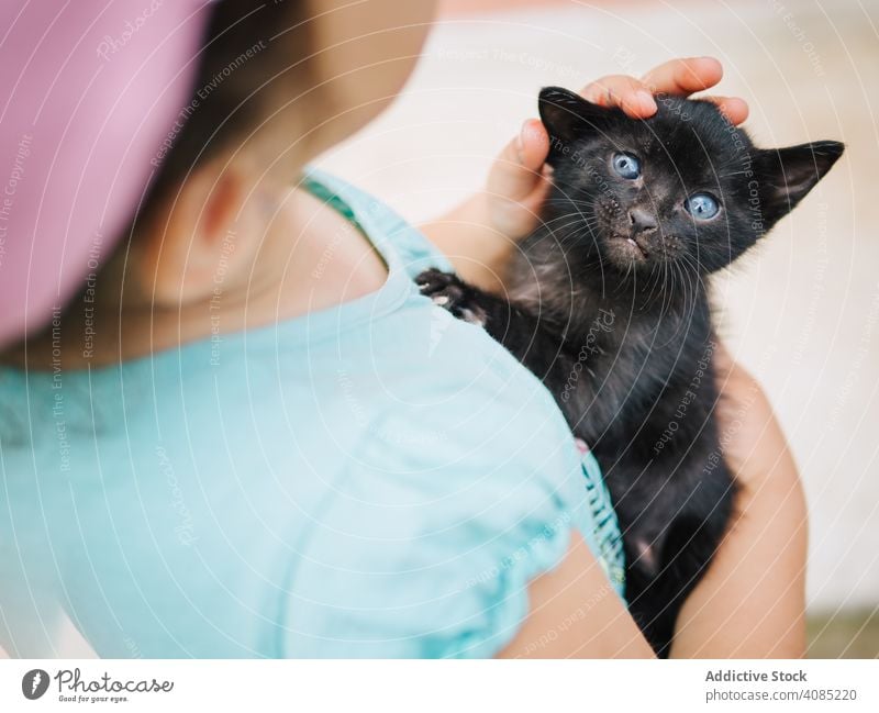 Süßes kleines Mädchen hält eine Miezekatze Katze Kind Haustier Streicheln Tier jung Liebe Person niedlich Glück Familie wenig Gesicht Menschen schön Kindheit